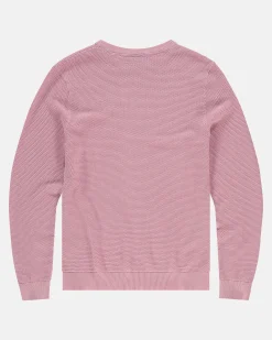 Truien En Sweaters*Gaastra 100% Katoenen Boyd Trui