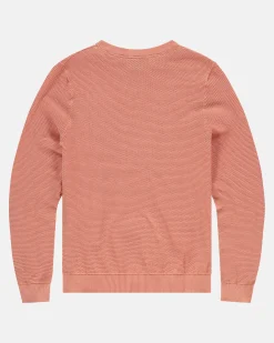 Truien En Sweaters*Gaastra 100% Katoenen Boyd Trui