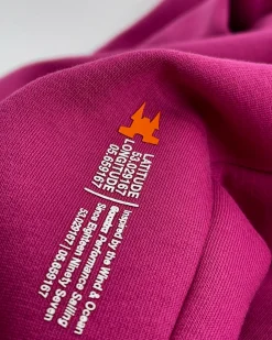 Truien En Sweaters*Gaastra Boyfriend Trui Pippa Met Capuchon
